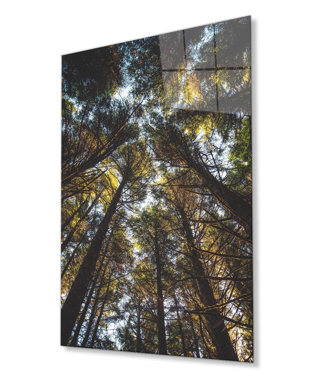 Ağaçlar Cam Tablo 4mm Dayanıklı Temperli Cam Trees Glass Painting
