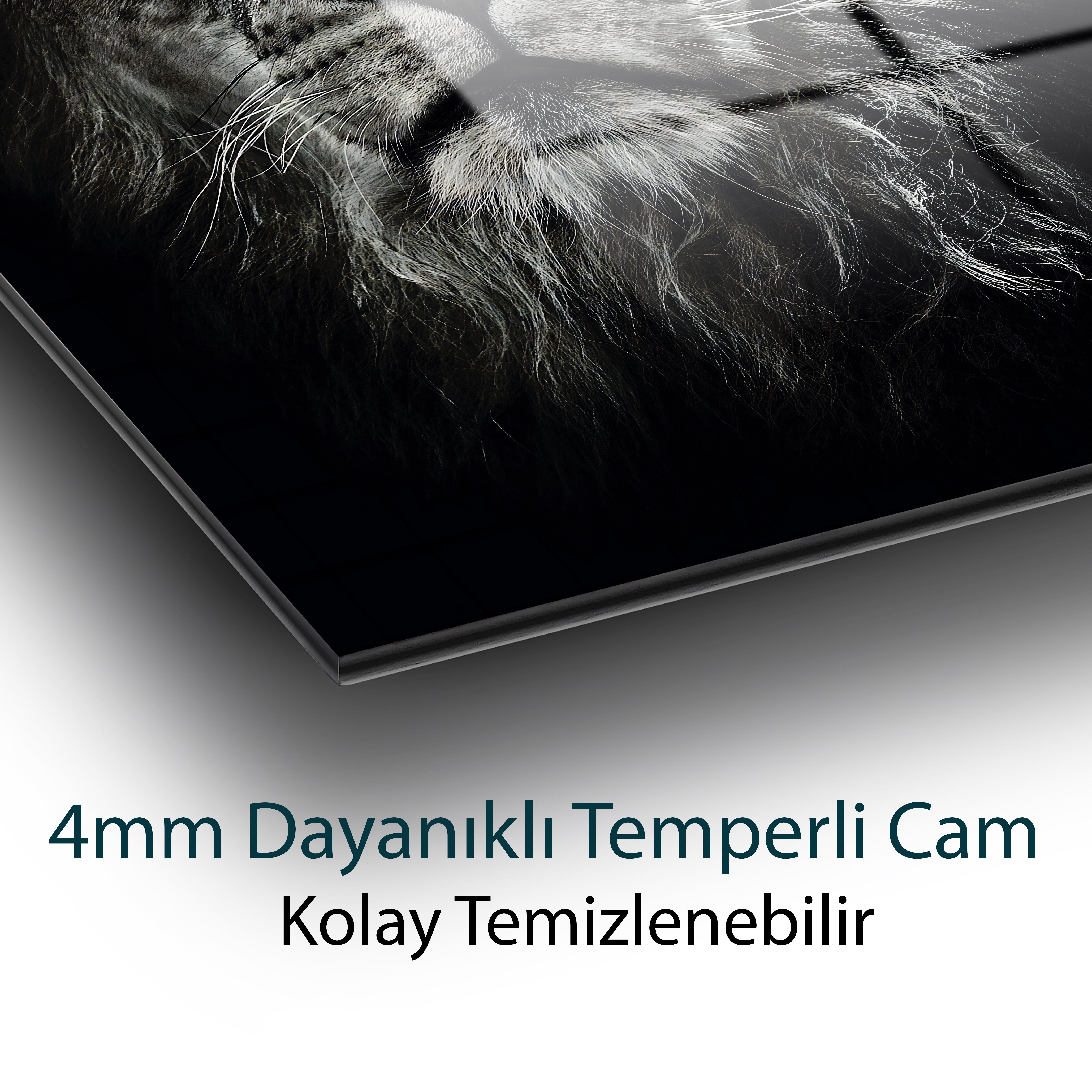 Aslan Cam Tablo 4mm Dayanıklı Temperli Cam