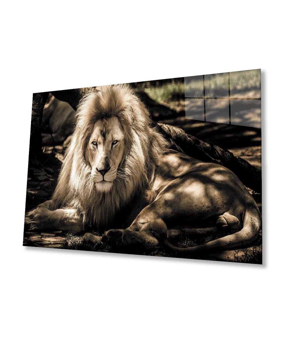 Aslan Cam Tablo