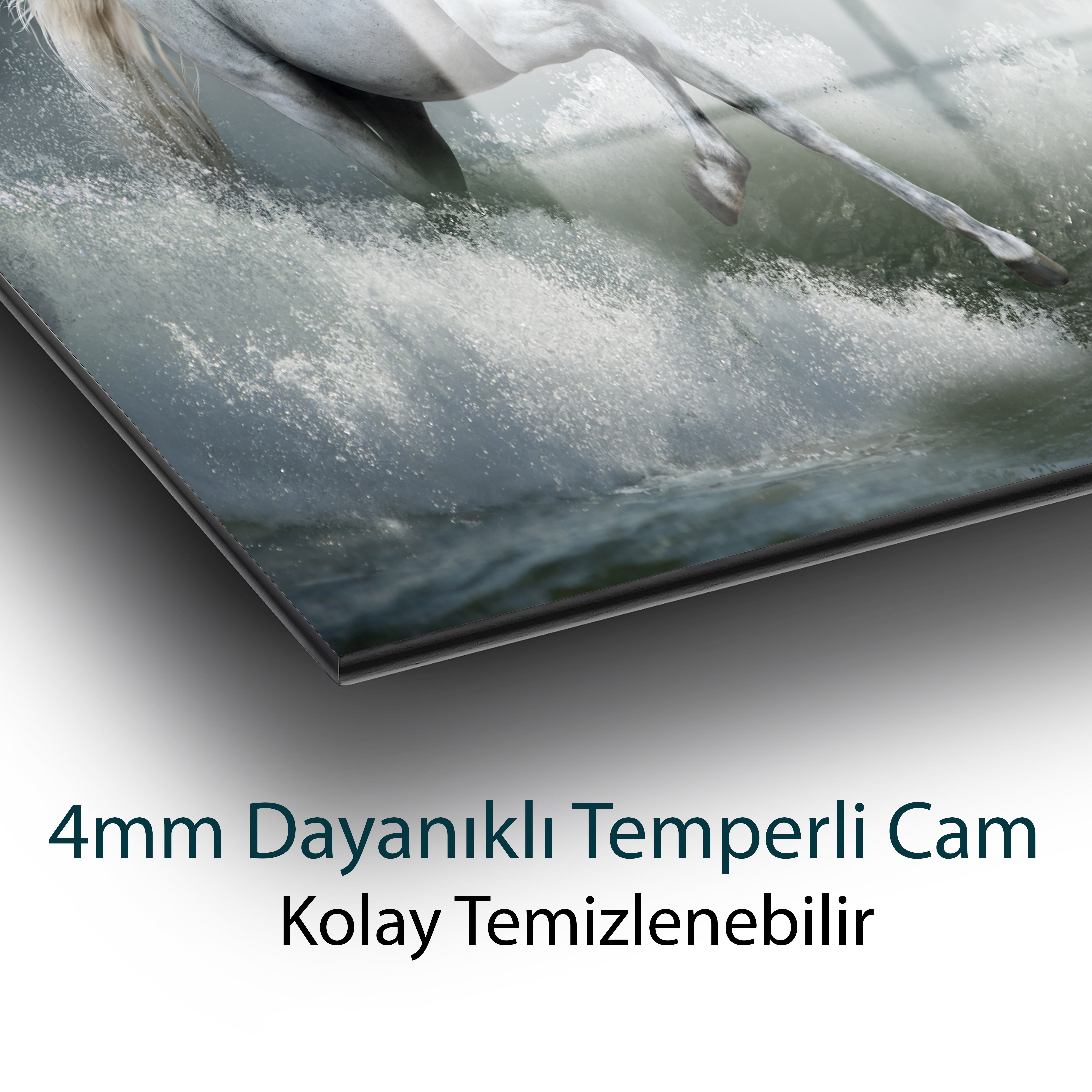Beyaz Koşan At Cam Tablo Hediyelik Büyük Tablo Ev Ofis Dekoru