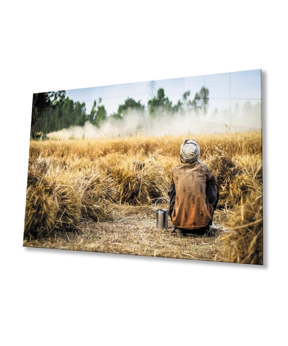 Buğday Cam Tablo