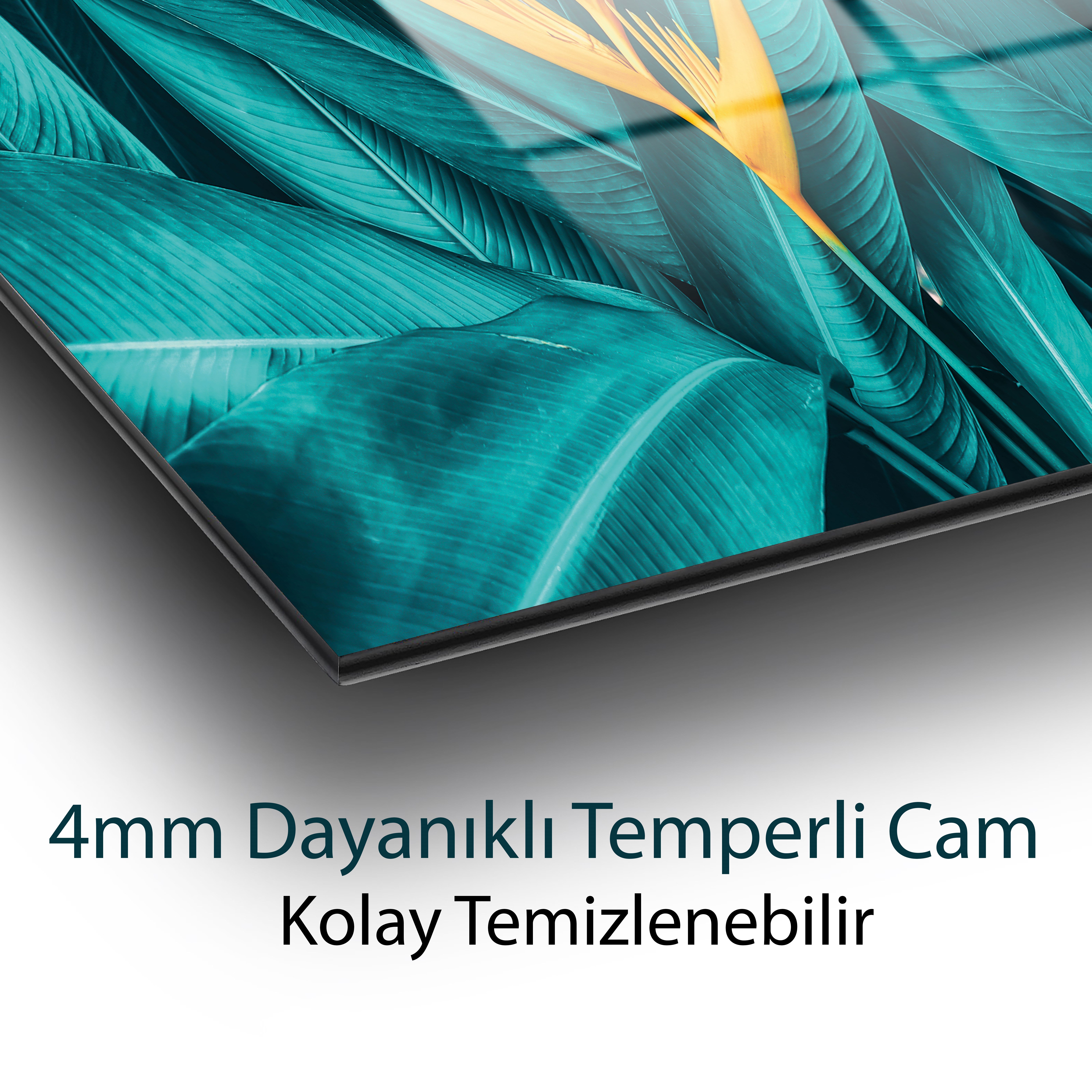 Cennet Kuşu Çiçeği Temperli Cam Tablo | Tropikal Yaprak Duvar Dekoru | Modern Botanik Cam Tablo
