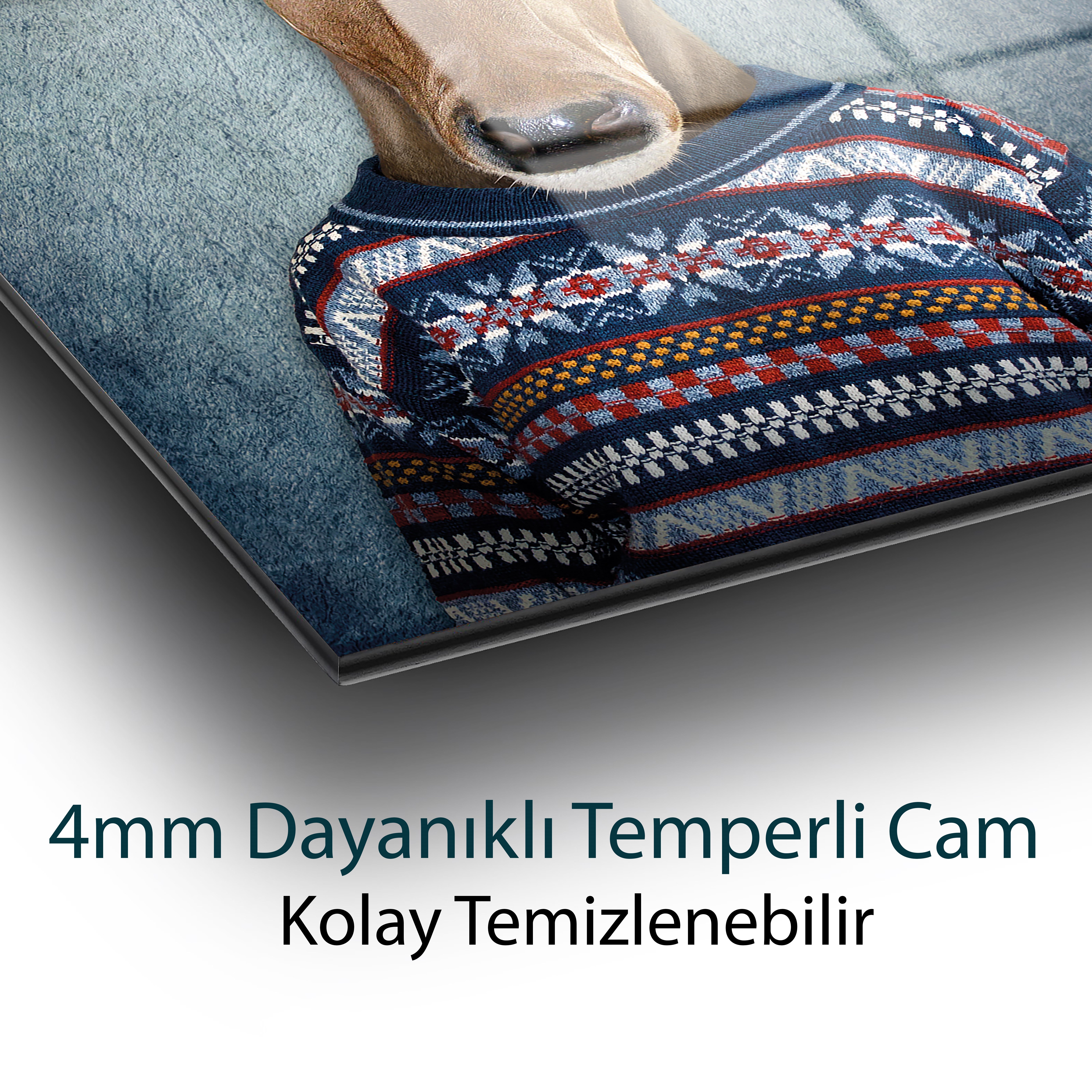 İnsan Vücutlu Geyik 4mm Dayanıklı Temperli Cam