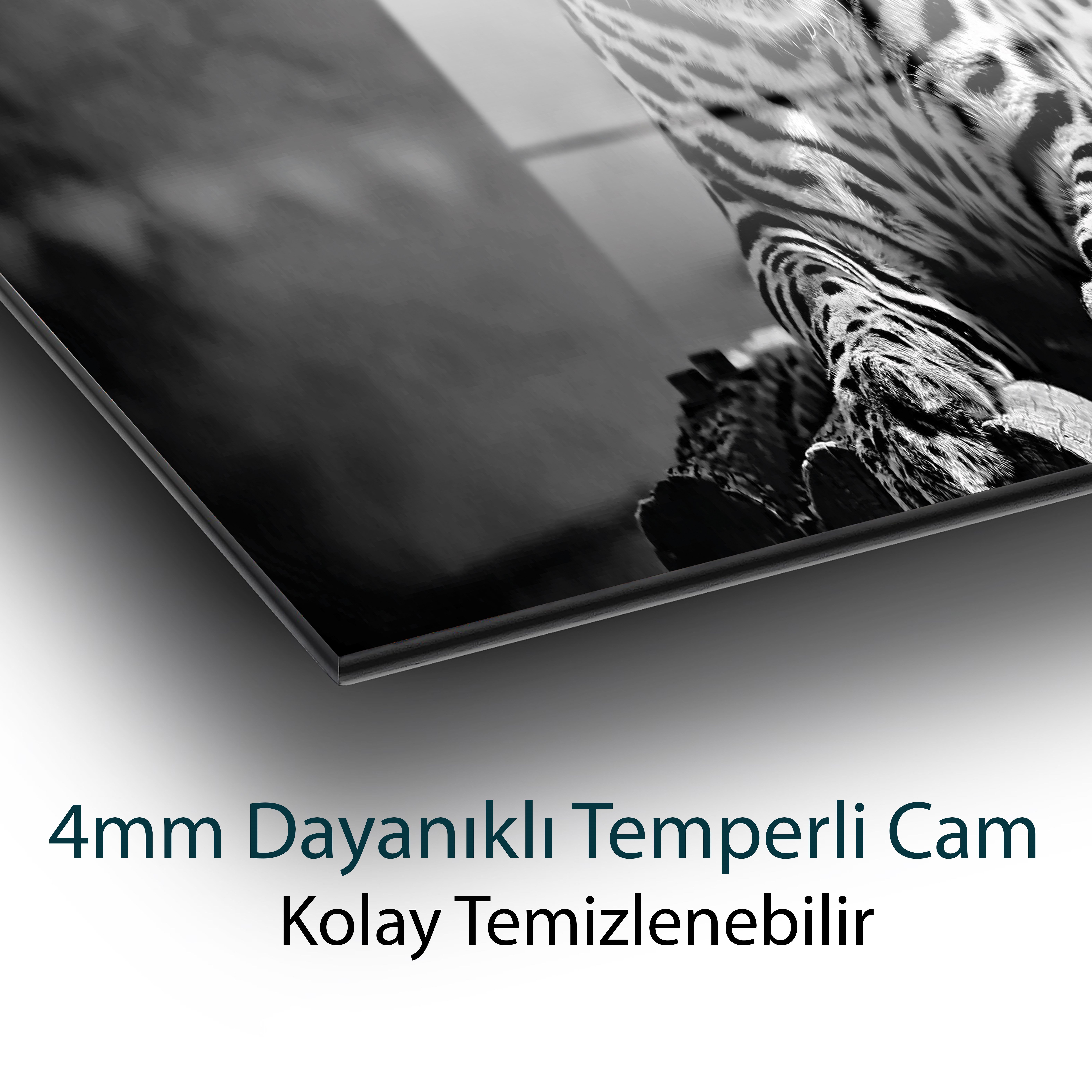 Jaguar Cam Tablo 4mm Dayanıklı Temperli Cam