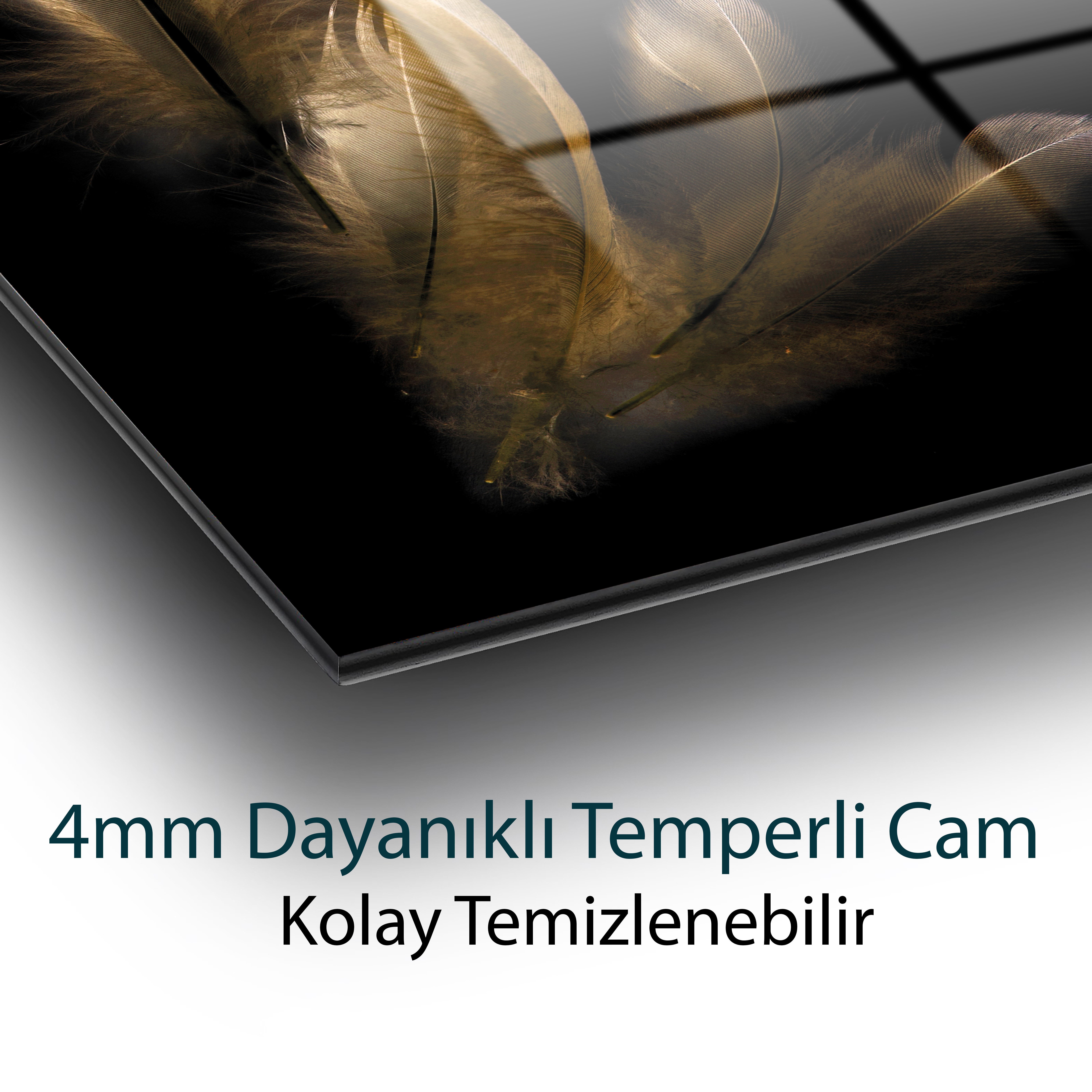 Kahverengi Tüy 4mm Dayanıklı Cam Tablo Temperli Cam, Glass Wall Decor