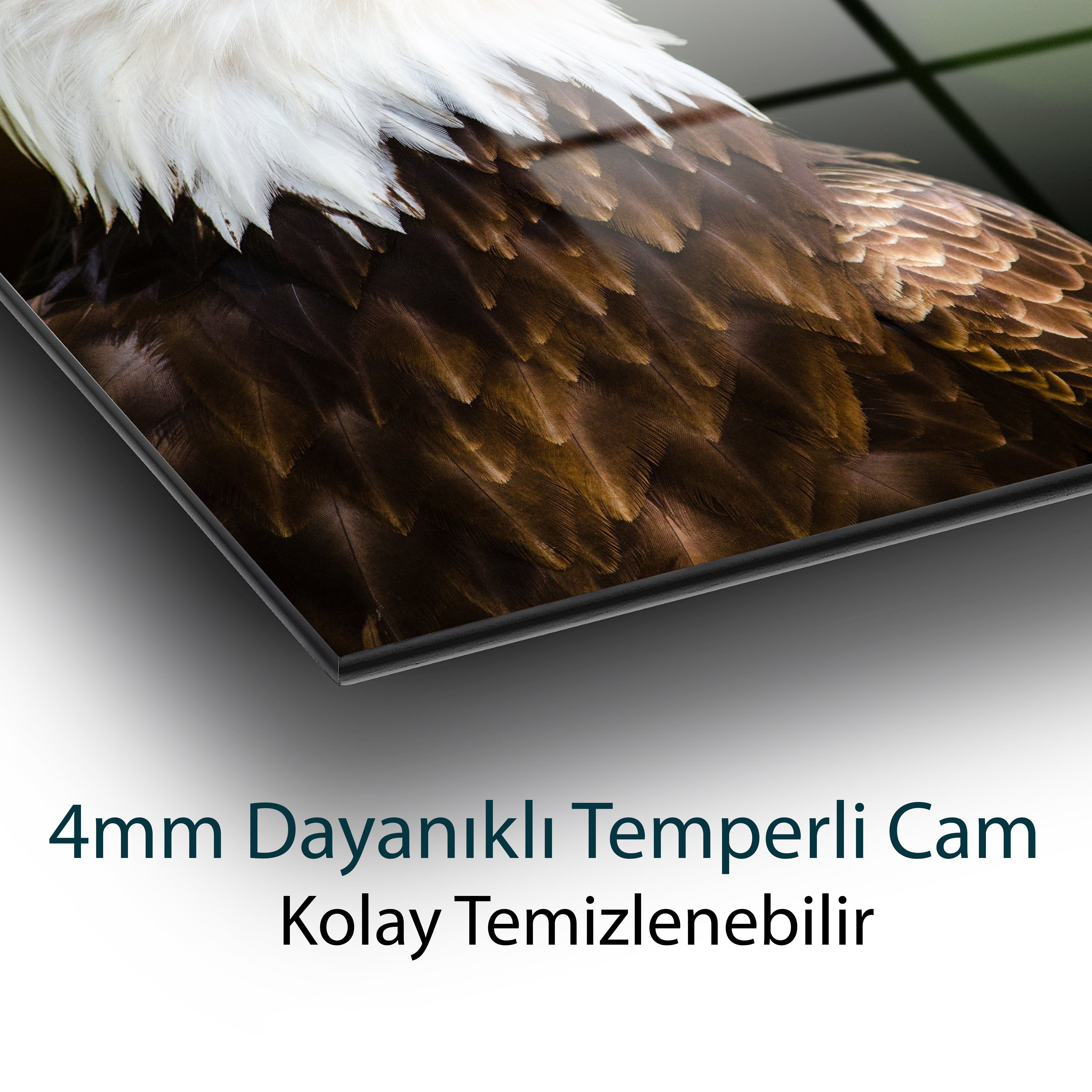 Kartal Hayvan  Cam Tablo