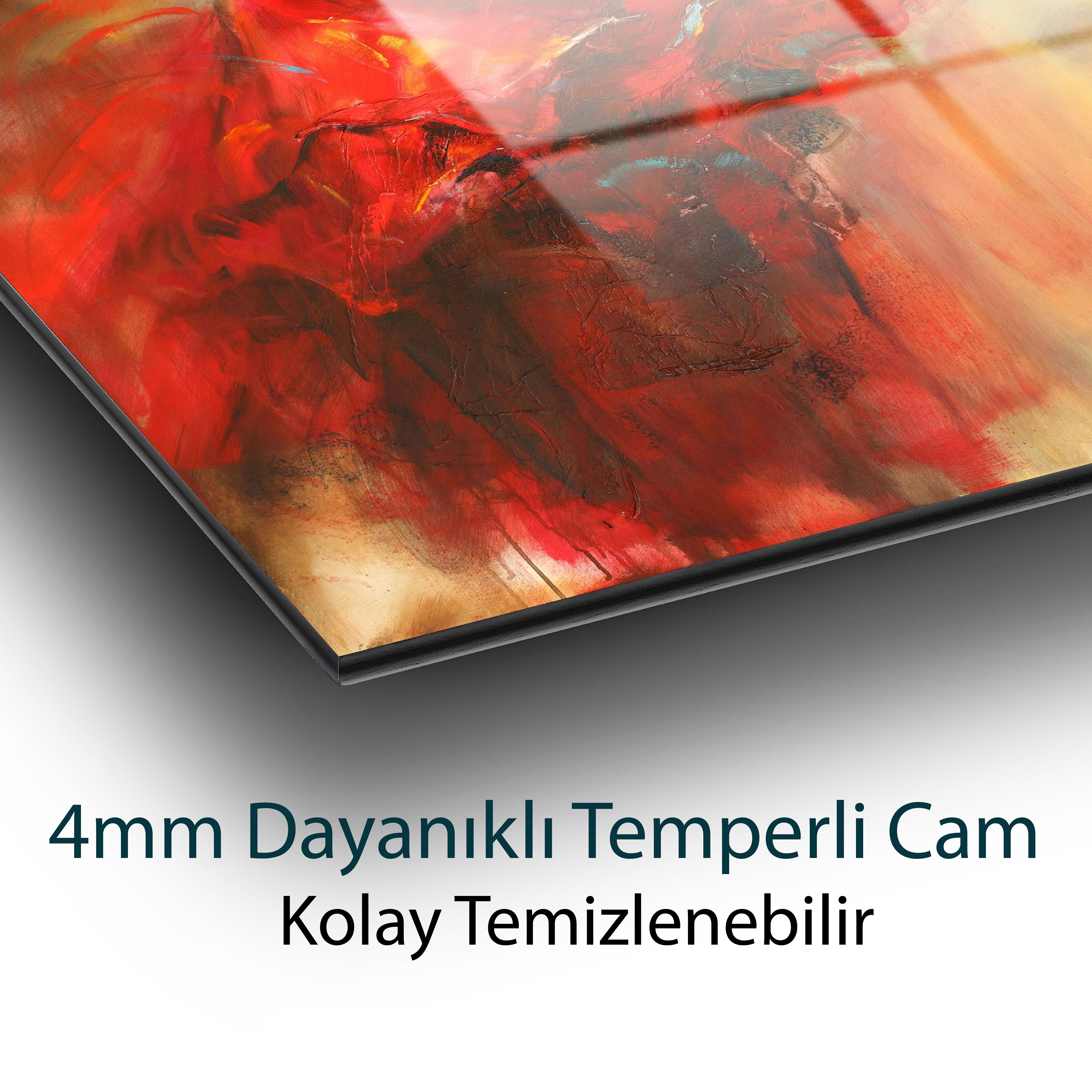 Kırmızı Balerin Cam Tablo 4mm Dayanıklı Temperli Cam