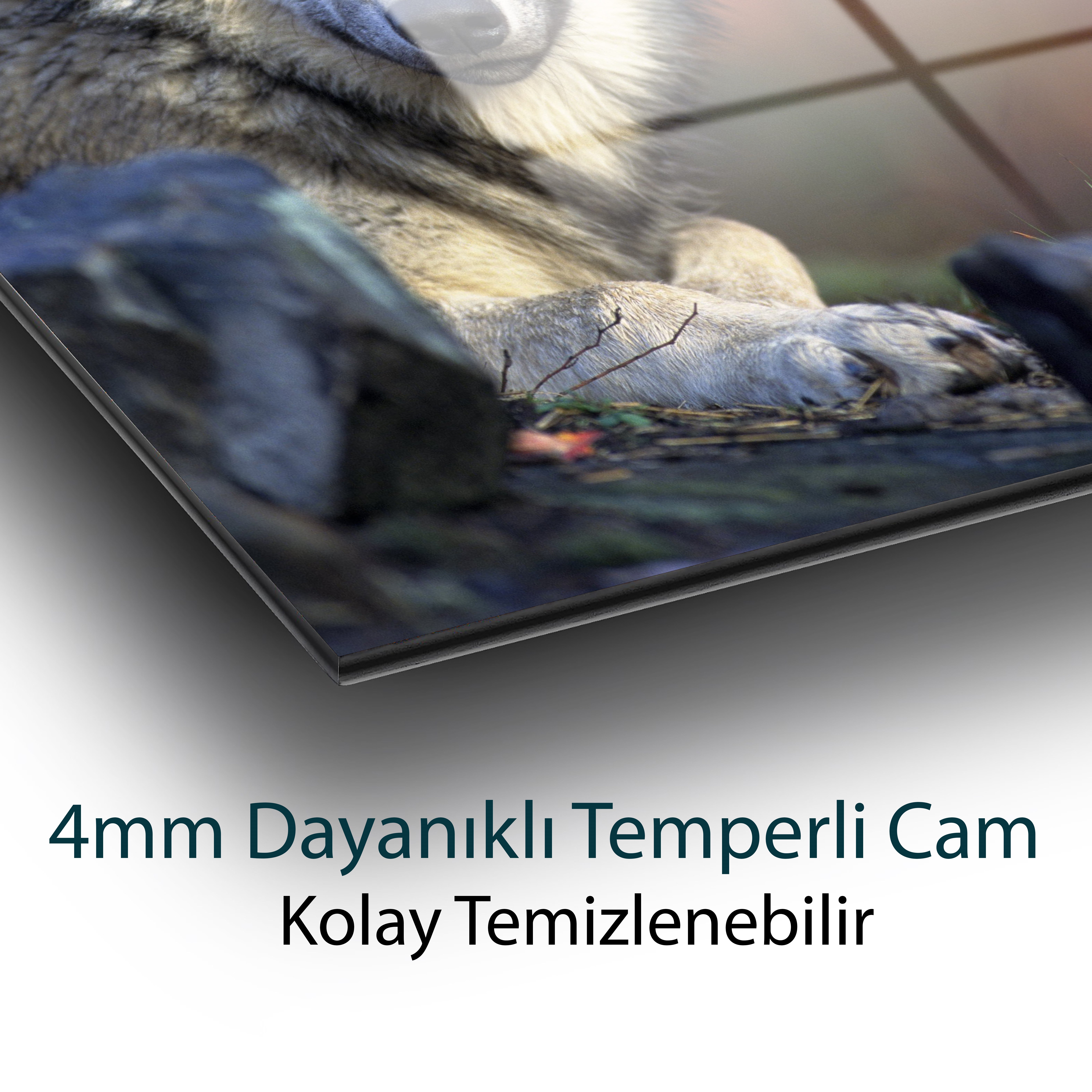 Kurt Cam Tablo 4mm Dayanıklı Temperli Cam