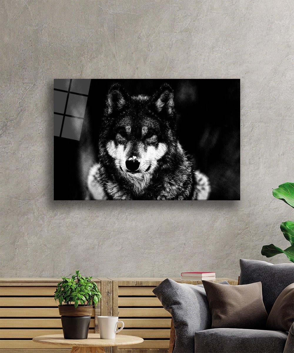 Kurt Hayvan  Cam Tablo