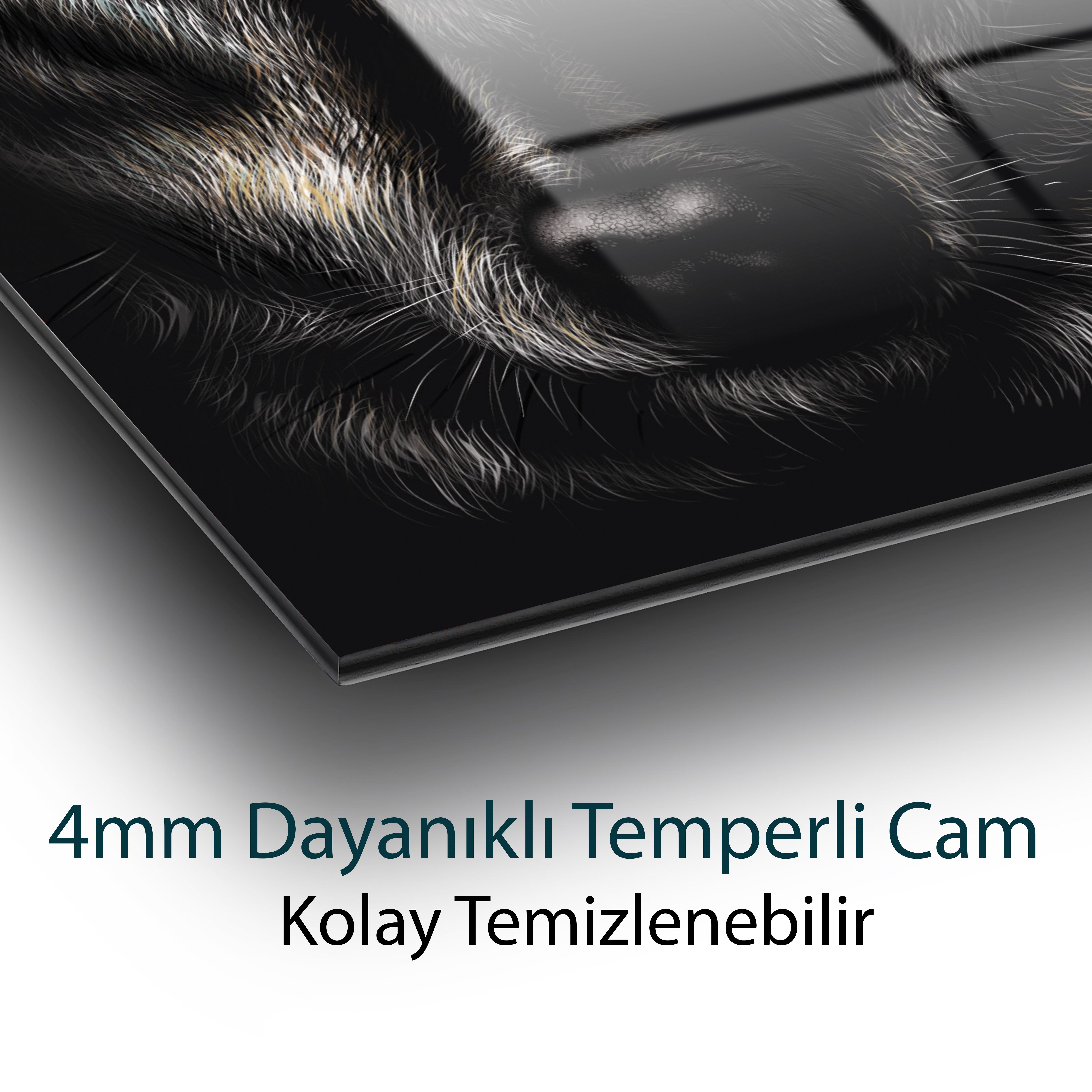 Kurt [ Sarı Gözlü ] Cam Tablo 4mm Dayanıklı Temperli Cam