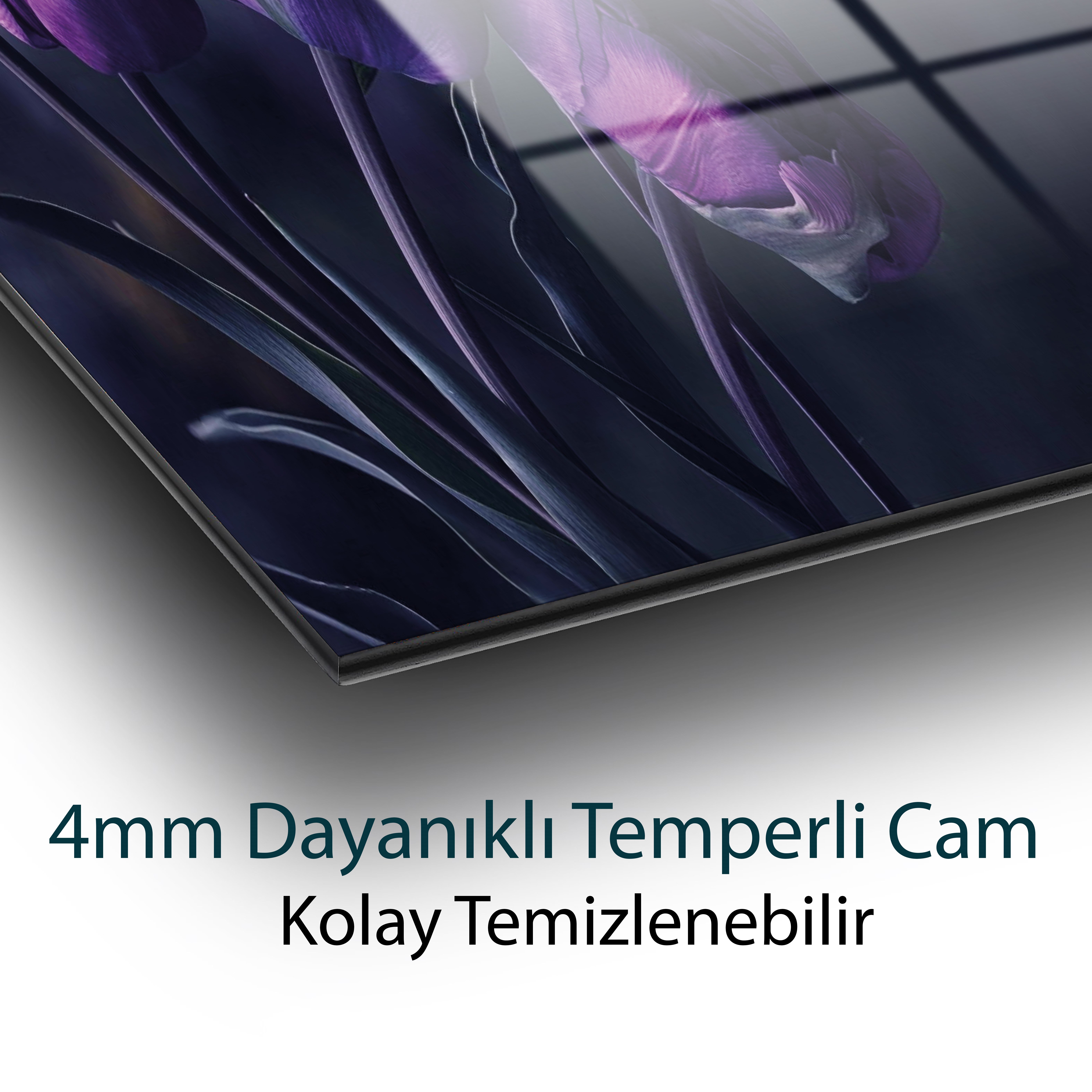 Mor Lale Cam Tablo | Zarif Çiçek Temalı Temperli Cam Duvar Tablosu | 4 mm Dekoratif Cam Tablo