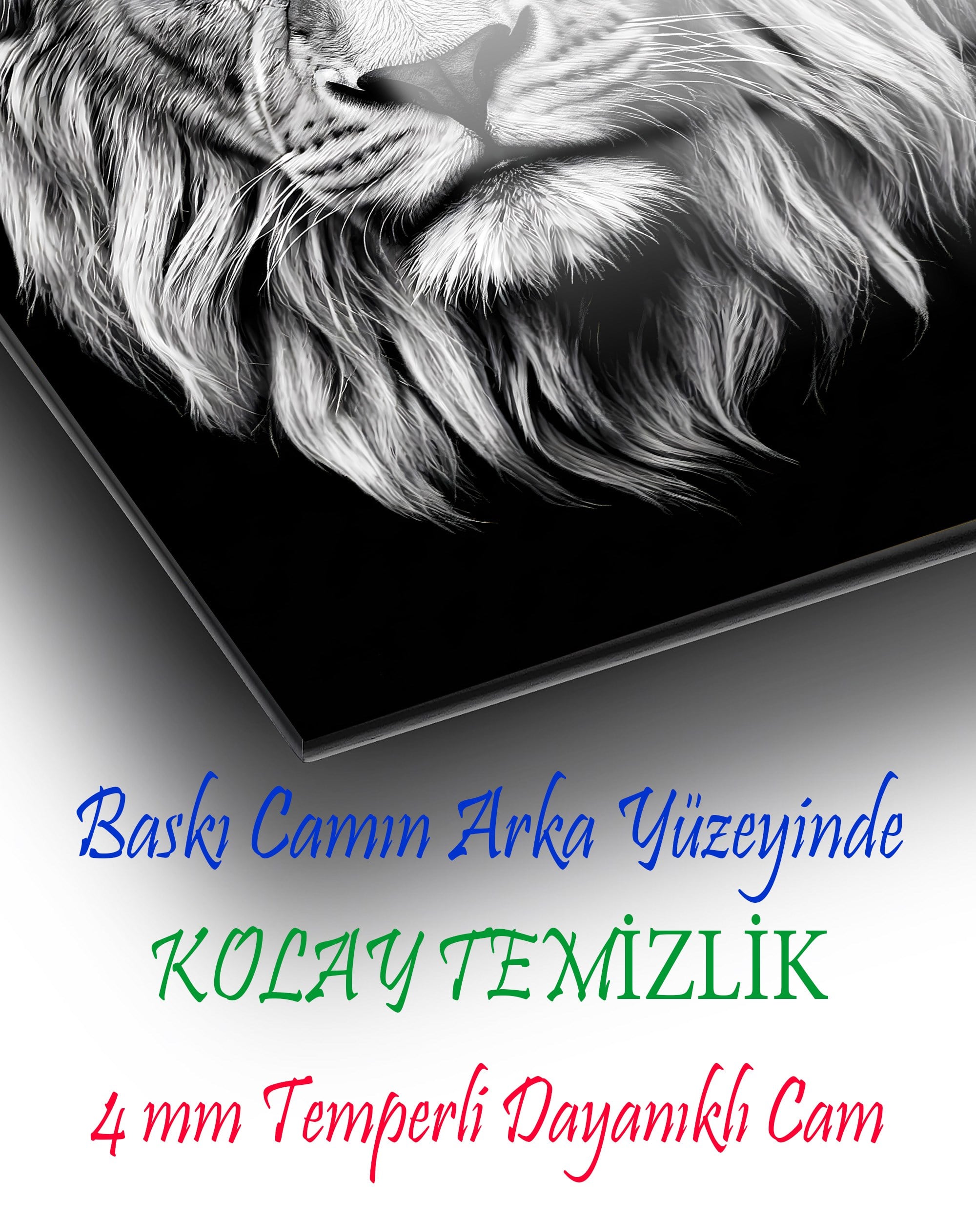 Siyah Beyaz Aslan Cam Tablo | Güç ve Asalet Temalı Premium Temperli Cam Duvar Dekoru