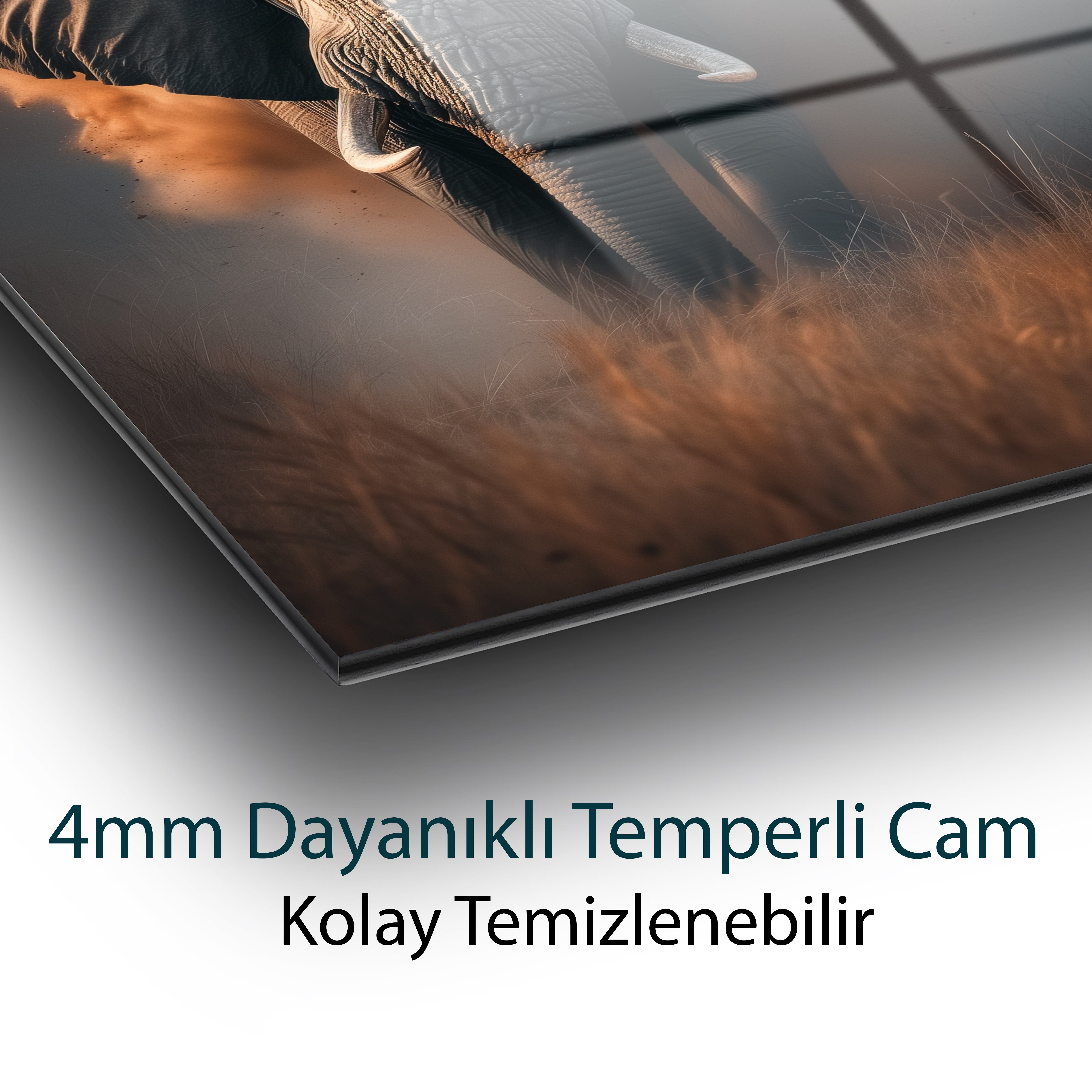 Tozların Ardındaki Hükümdar Cam Tablo Hediyelik Büyük Tablo Ev Ofis Dekoru