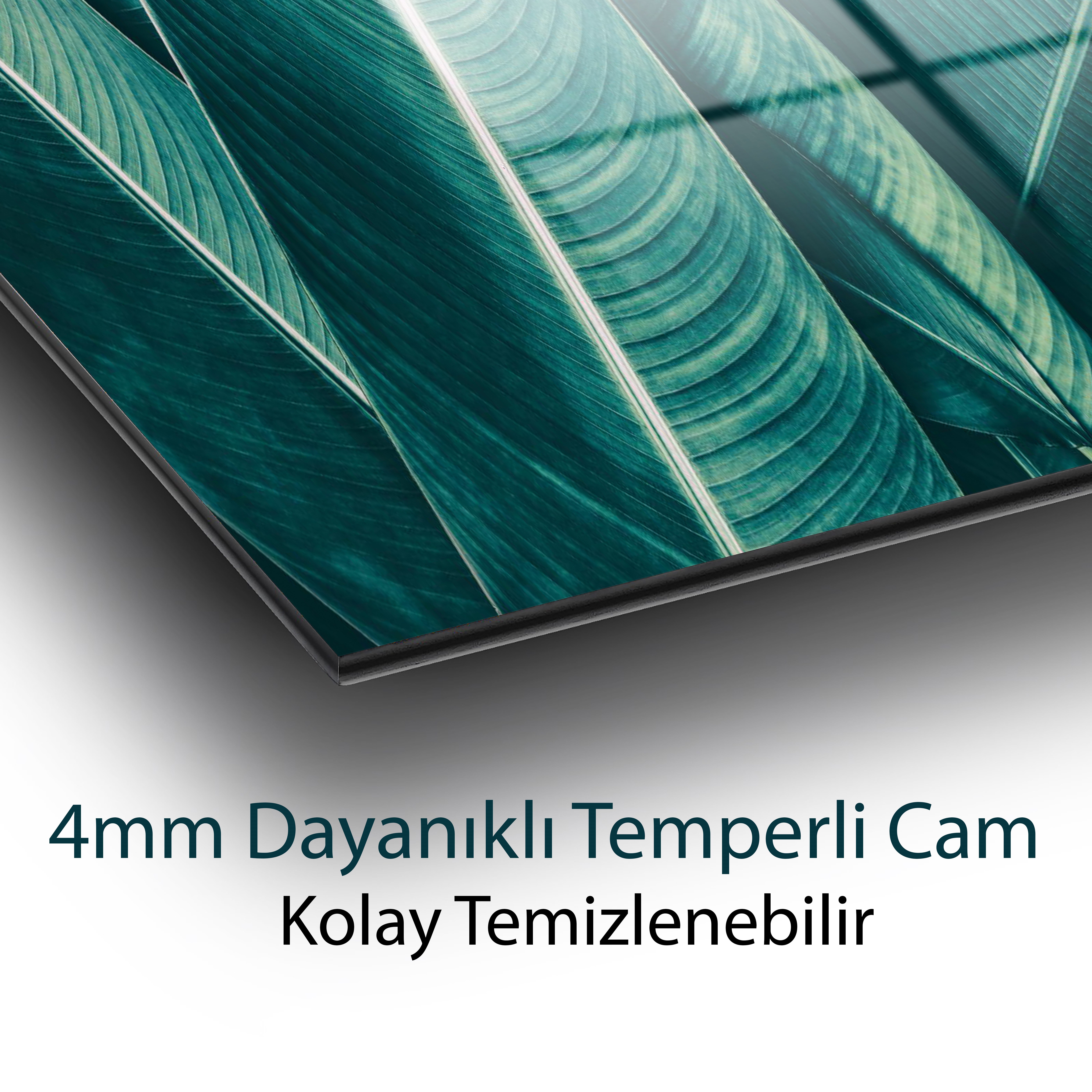 Turkuaz Tropikal Yaprak Temperli Cam Tablo | Modern Botanik Duvar Dekoru | Minimalist Cam Tablo
