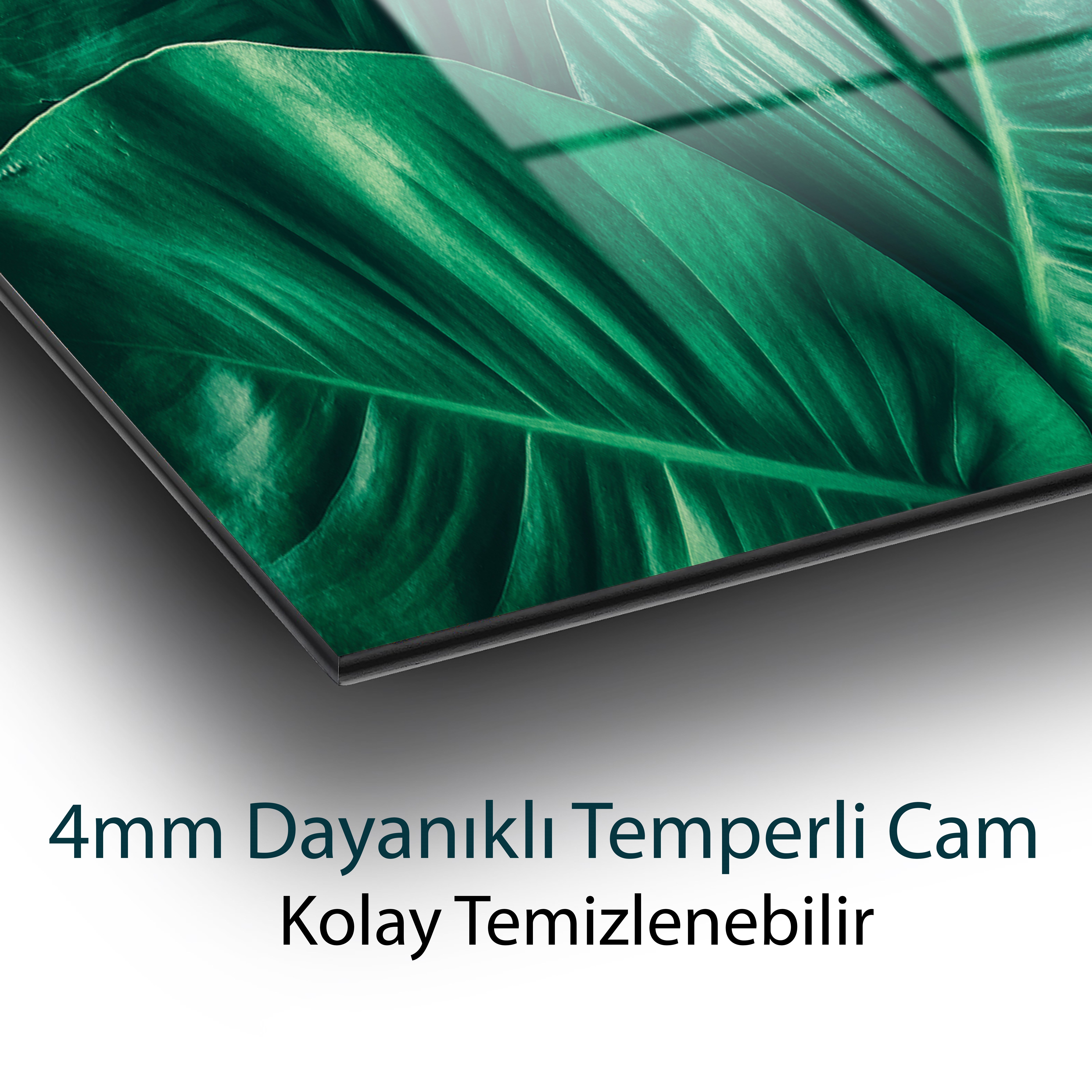 Yeşil Tropikal Yaprak Temperli Cam Tablo | Modern Botanik Duvar Dekoru | Lüks Cam Tablo