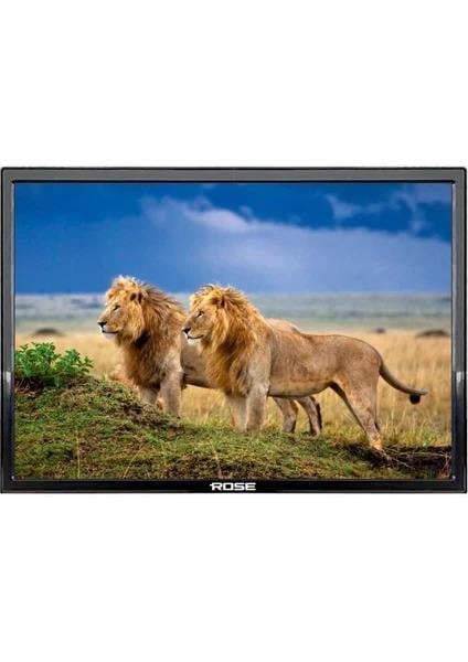 Rose CM-119 HD 19