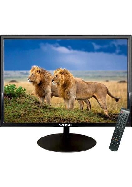 Rose CM-119 HD 19