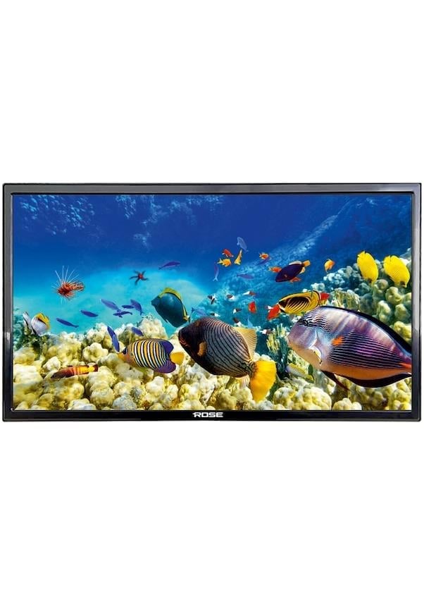 Rose CM-122 HD 22