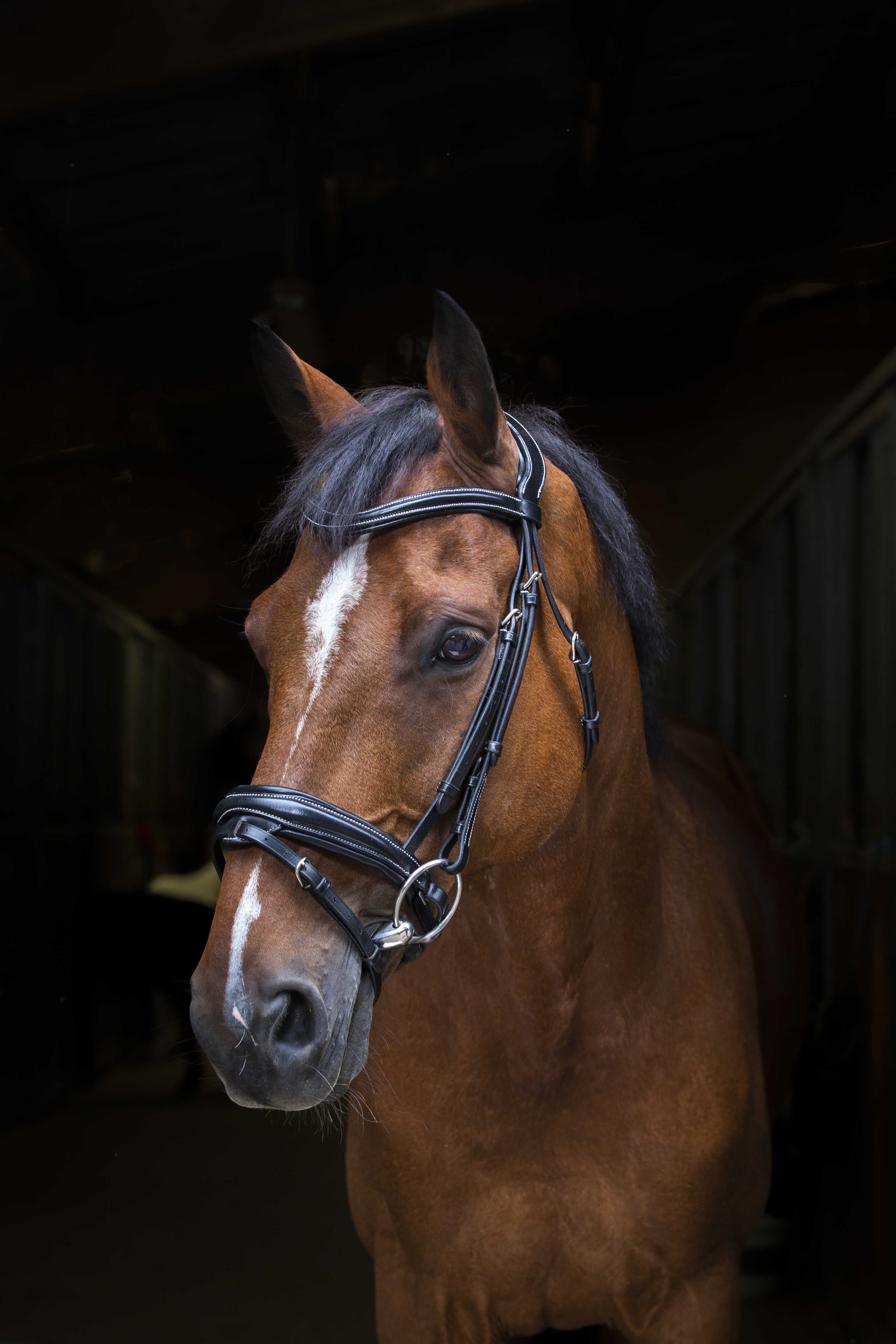 At başlığı - Eric Thomas Pro - Design