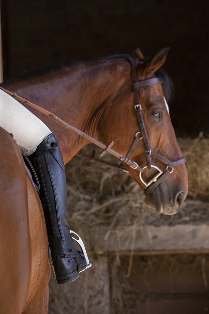 Equitheme Premium Binici Chapsi Standart