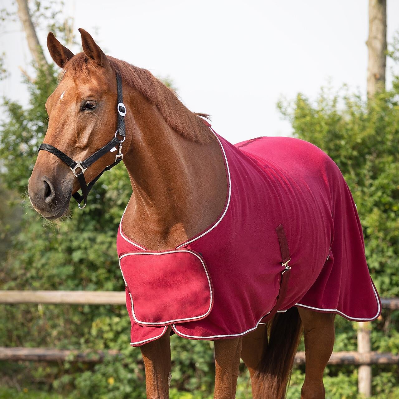 Polar Blanket İşlemeli