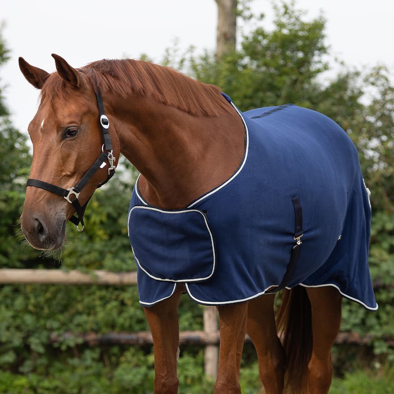 Polar Blanket İşlemeli