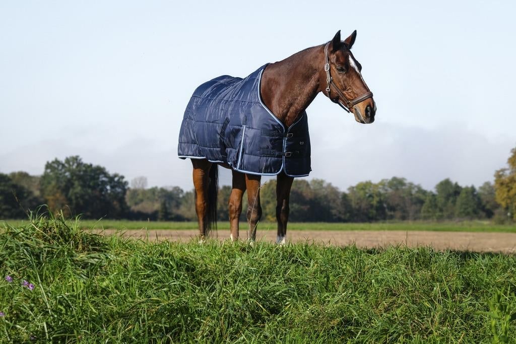 Riding World Ahır Blanketi