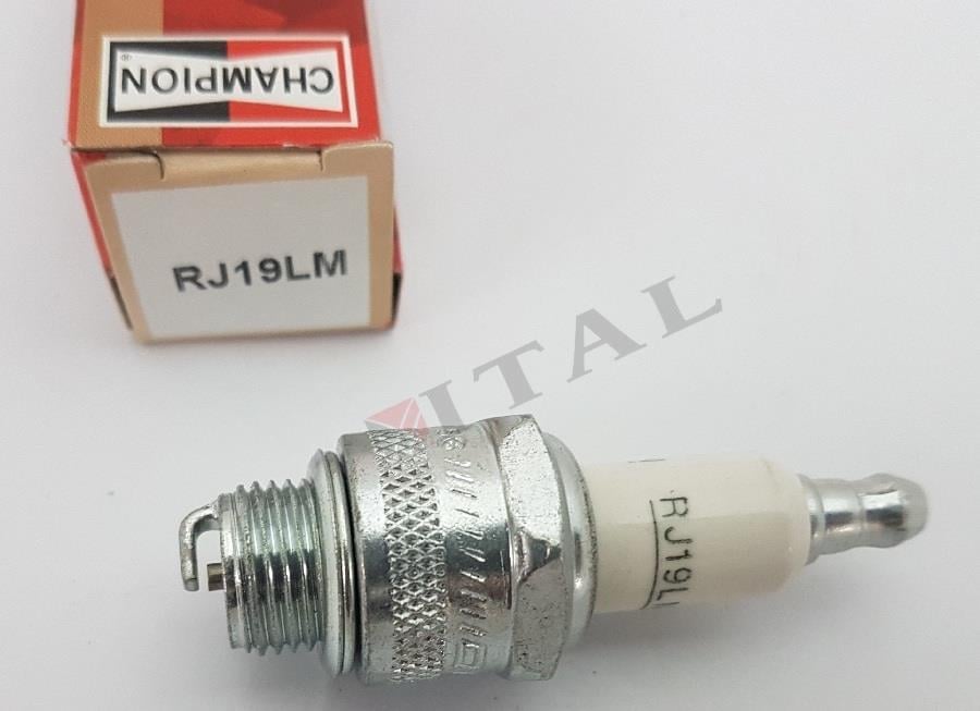 Champion Çim Biçme Motoru Bujisi RJ19LM