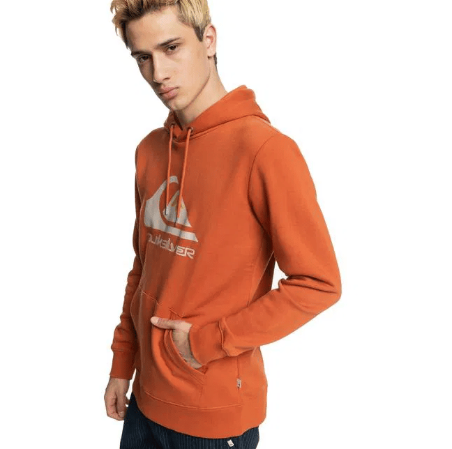 Quiksilver BIG LOGO HOOD
