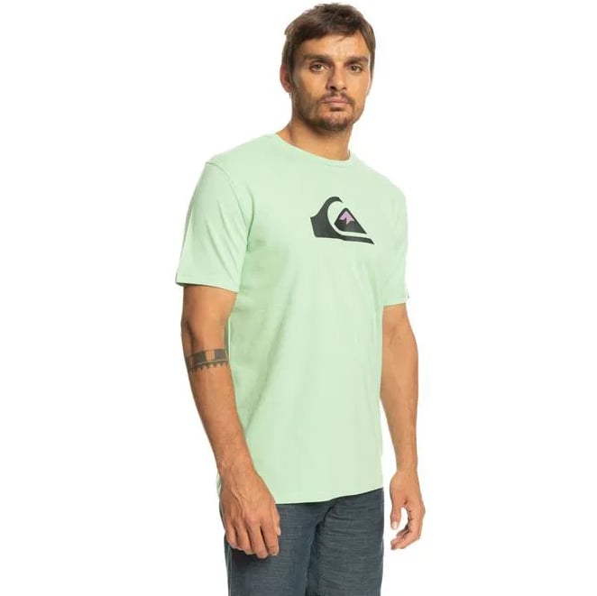 Quiksilver COMPLOGO M TEES