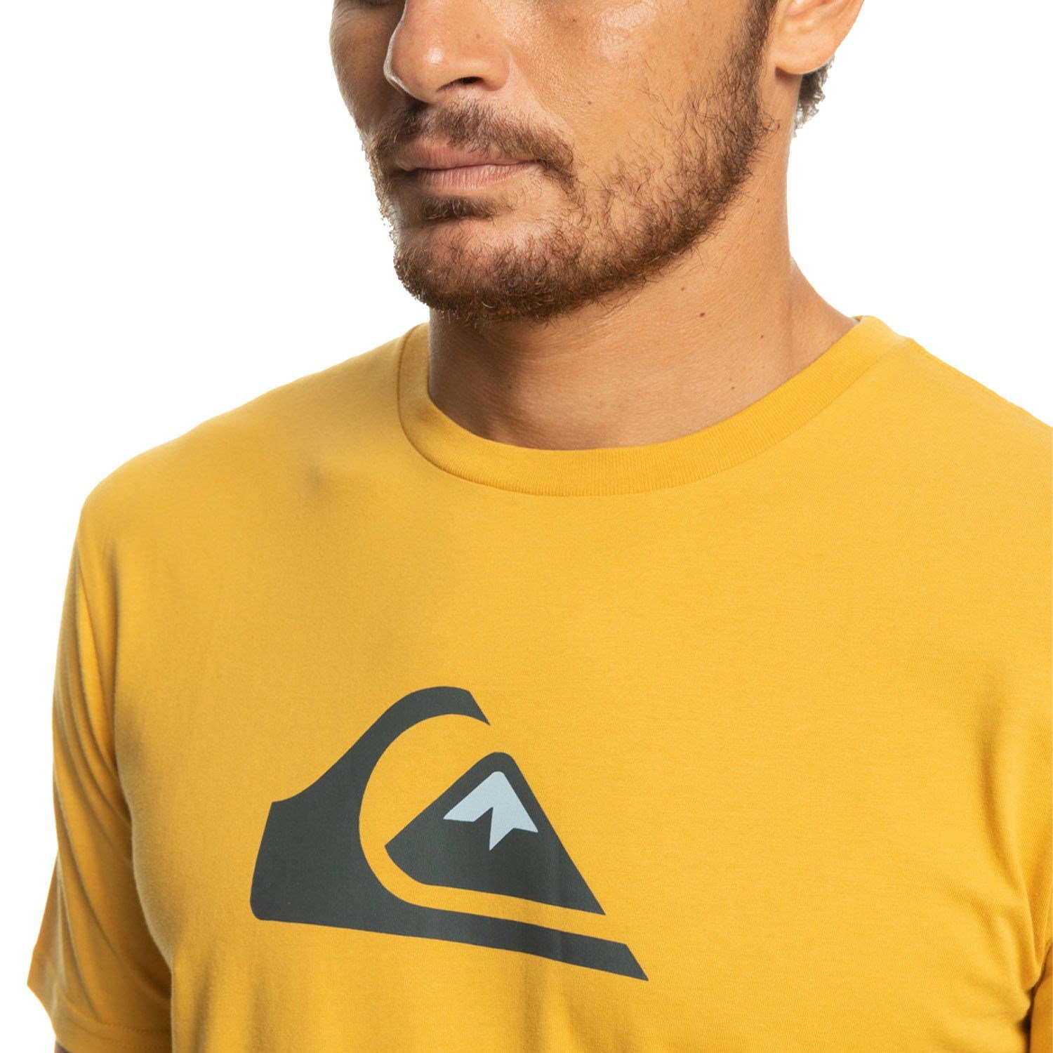Quiksilver COMPLOGO M TEES