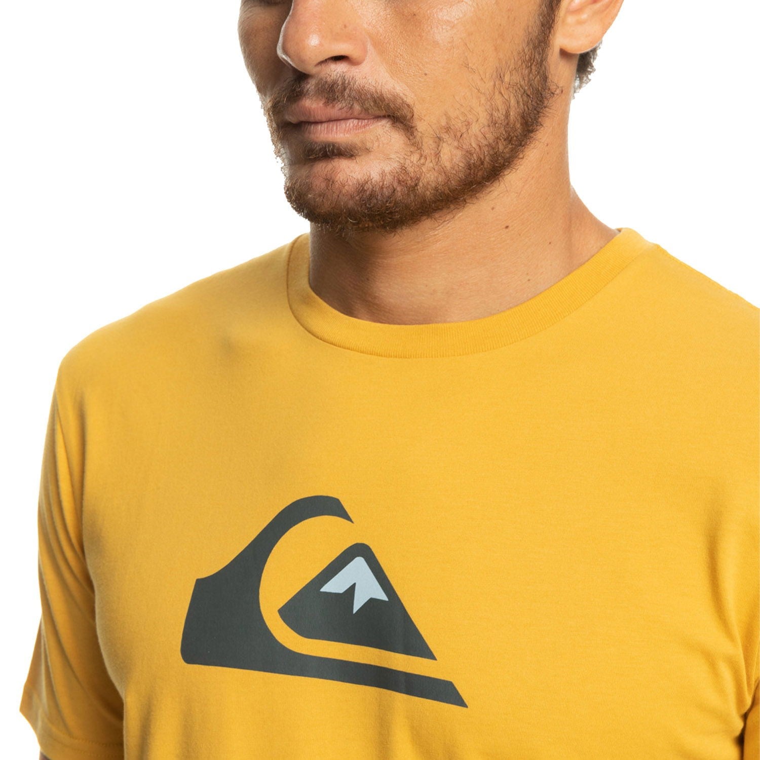 Quiksilver COMPLOGO M TEES