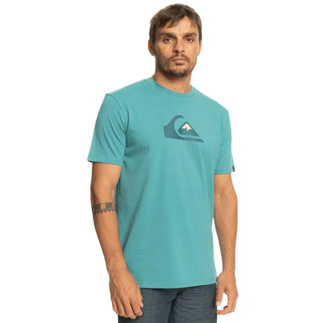 Quiksilver COMPLOGO M TEES