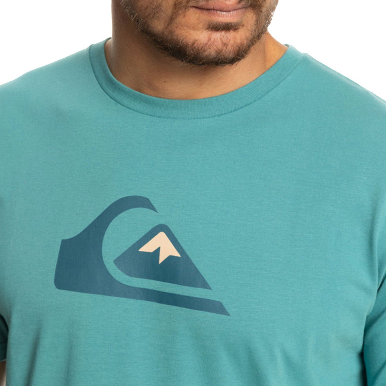Quiksilver COMPLOGO M TEES