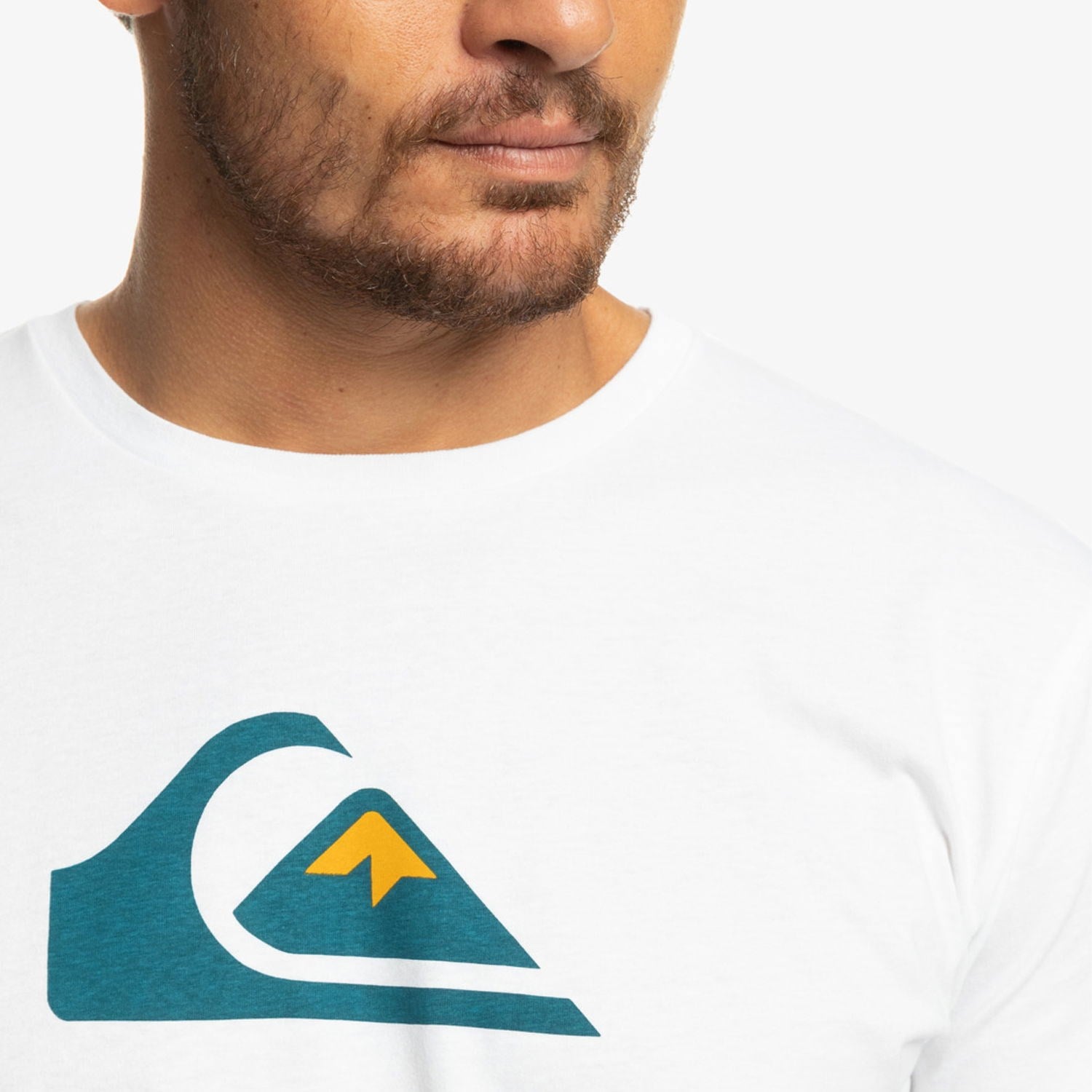 Quiksilver COMPLOGO M TEES