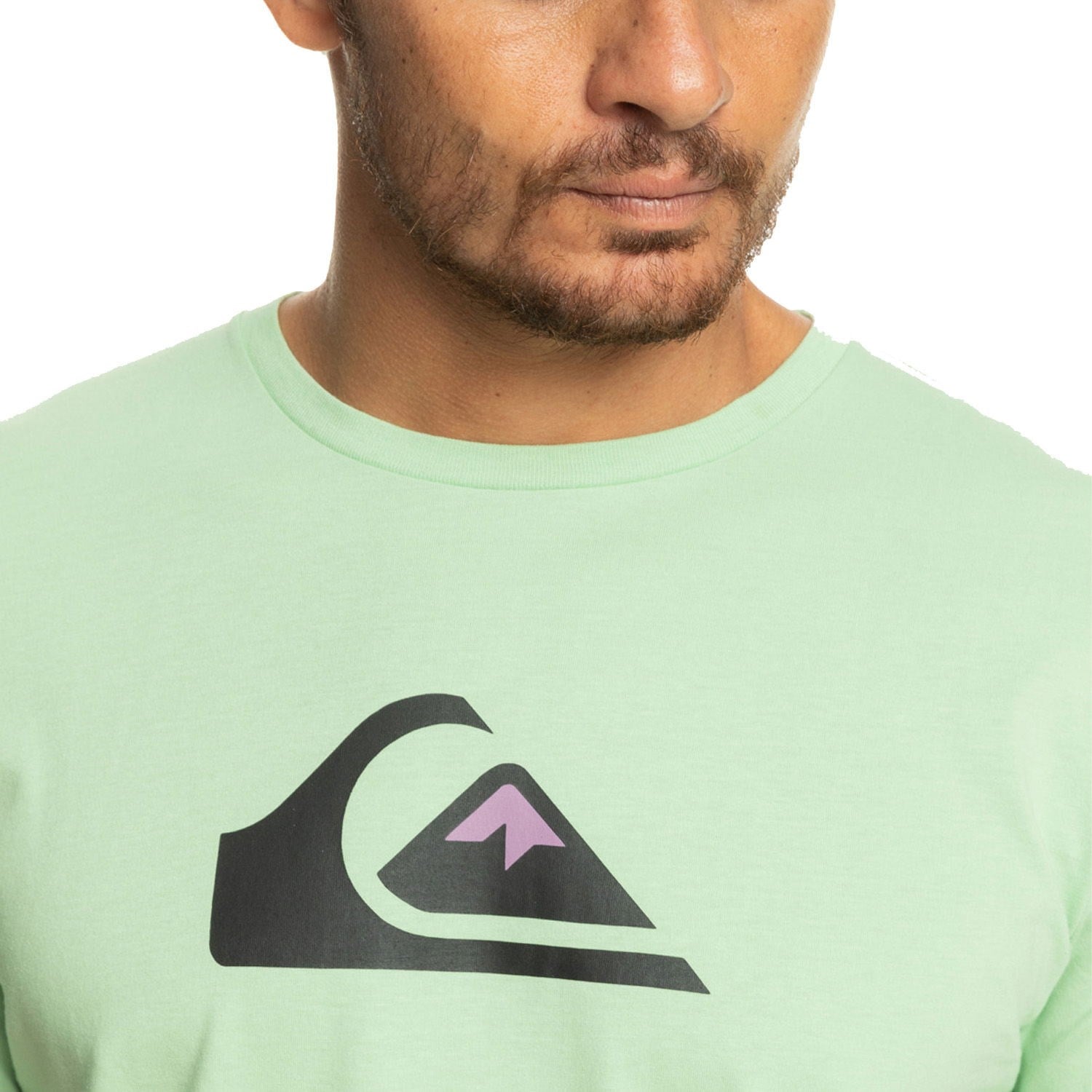 Quiksilver COMPLOGO M TEES