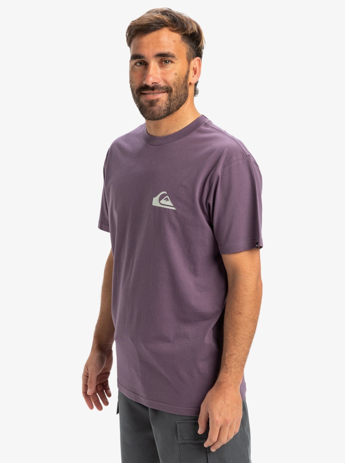 Quiksilver EV MINI LOGO SS