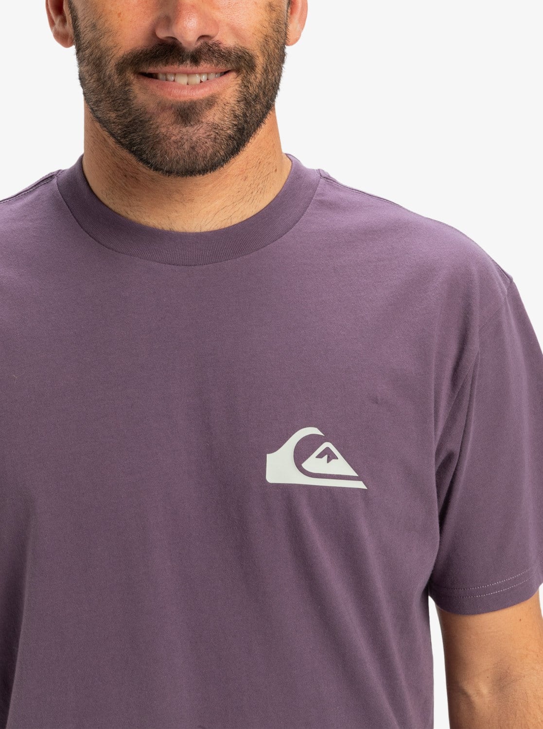 Quiksilver EV MINI LOGO SS