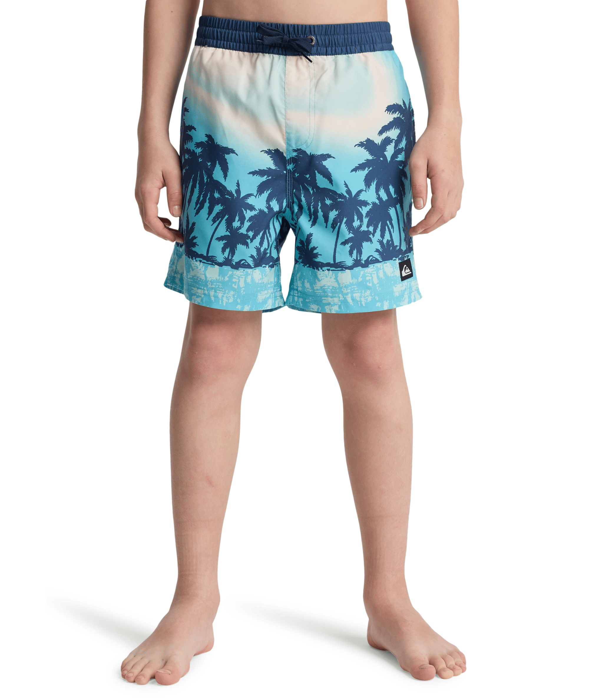 QUIKSILVER EVD PRINTED