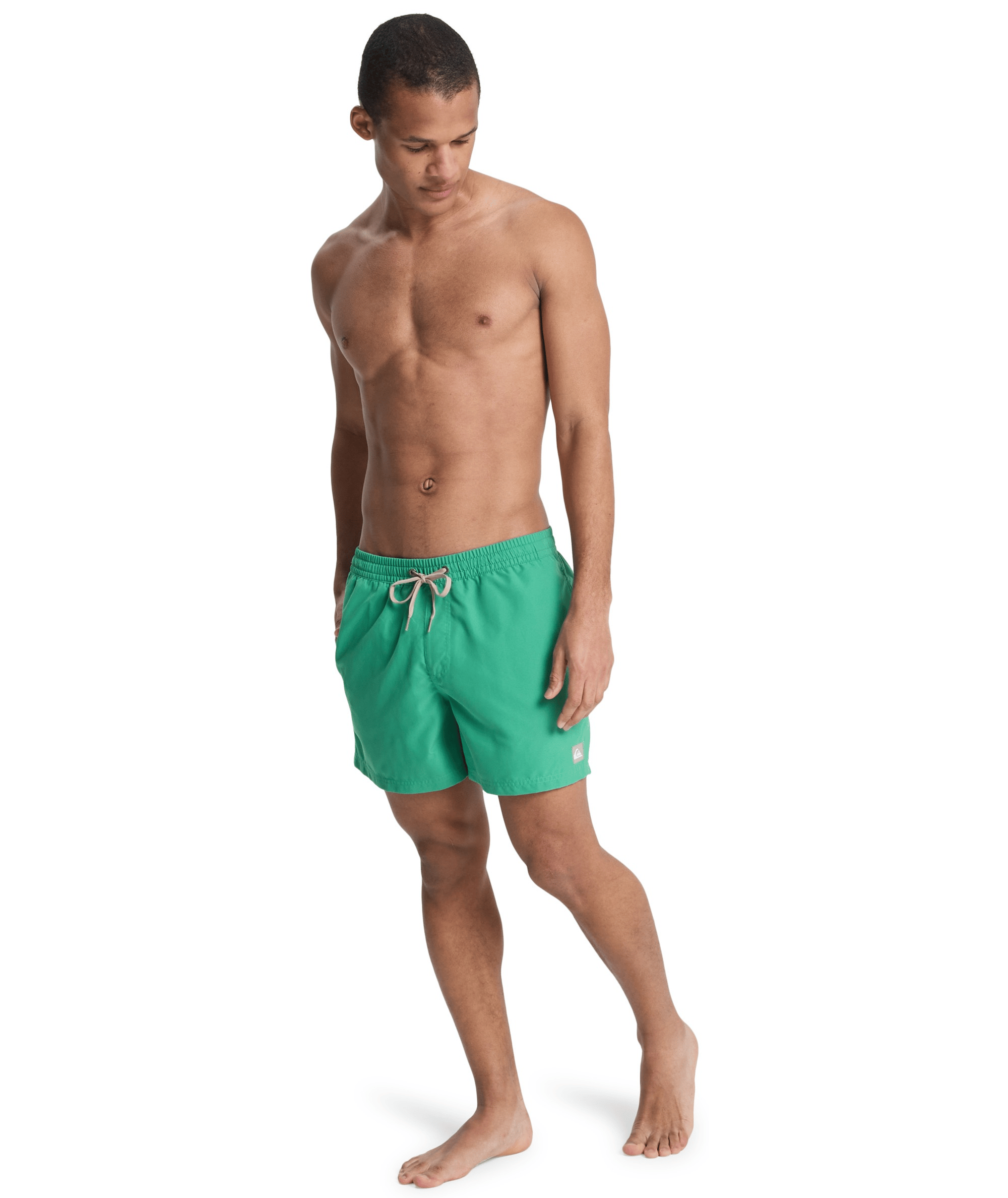 QUIKSILVER EVERYDAY 15