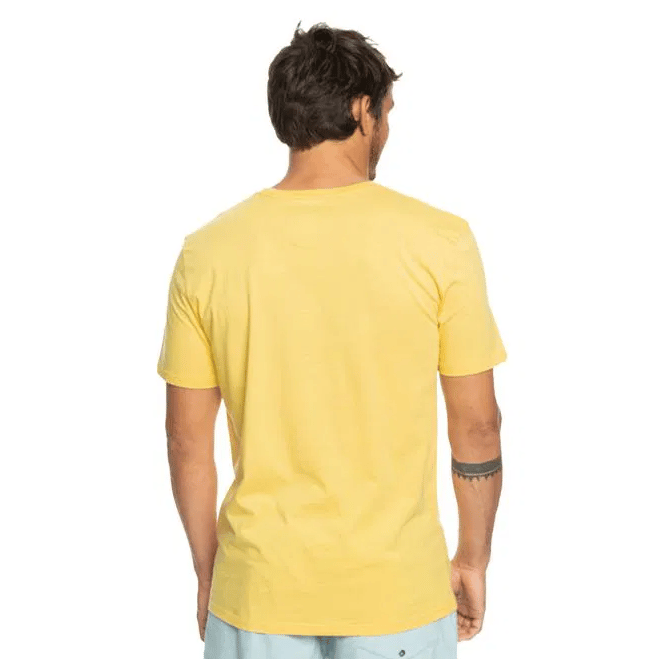 Quiksilver QSROCKINSKULL M TEES