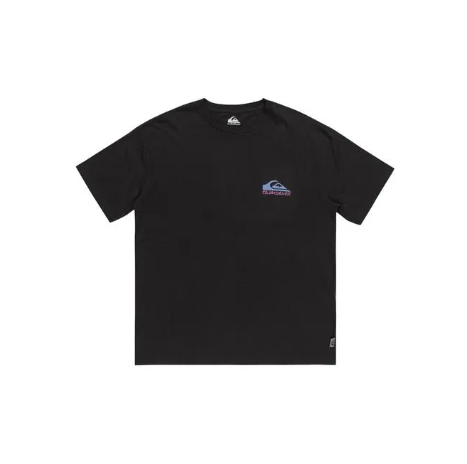 Quiksilver TAKE US BACK LOGO SS