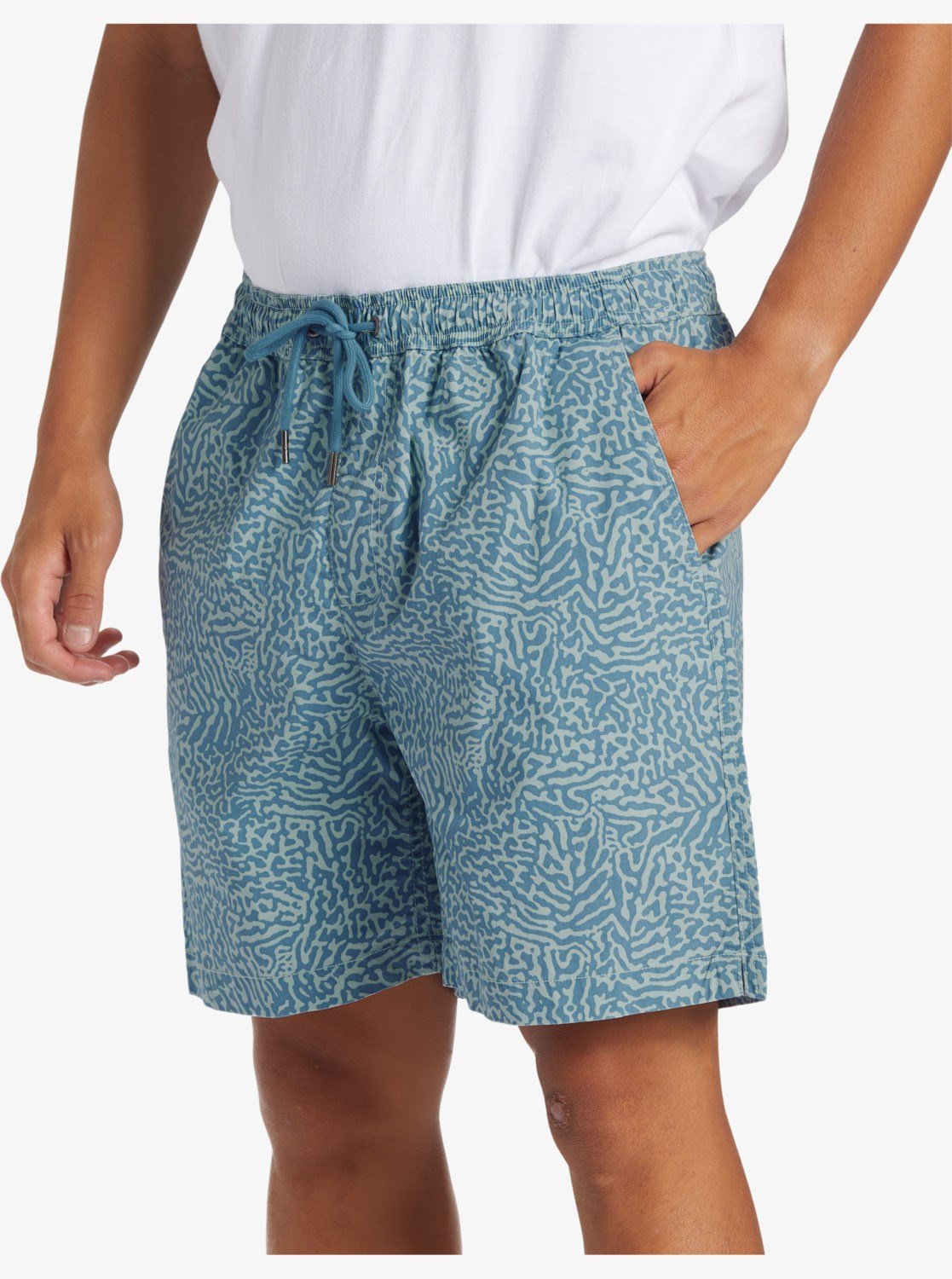 Quiksilver TAXER WALK SHORTS