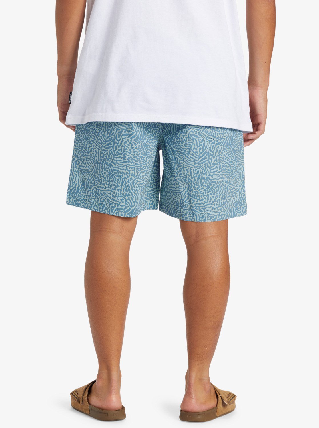Quiksilver TAXER WALK SHORTS