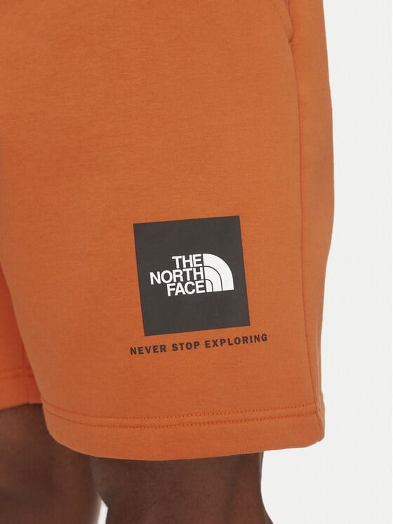 The North Face M BOX NSE REGULAR SHORT