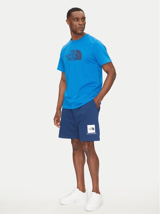 The North Face M BOX NSE REGULAR SHORT