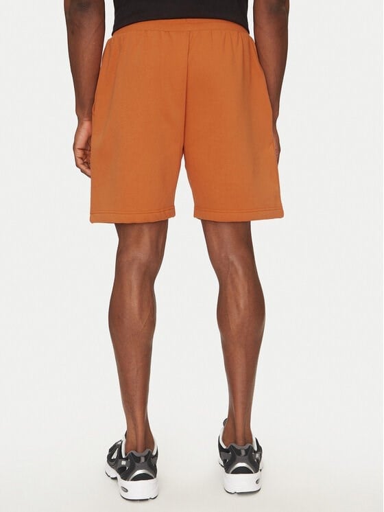 The North Face M BOX NSE REGULAR SHORT