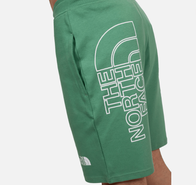 The North Face M GRAPHIC SHORT LIGHT-EU