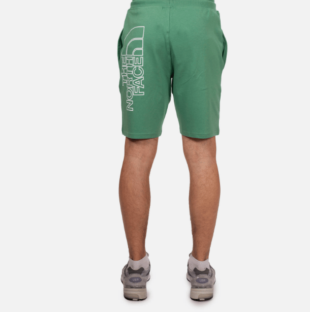 The North Face M GRAPHIC SHORT LIGHT-EU