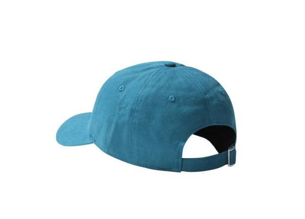 The North Face WASHED NORM HAT